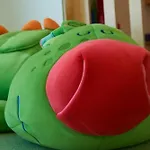 Dom wakacyjny Nordlicht *